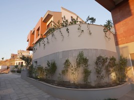 TERAS HANE - 10